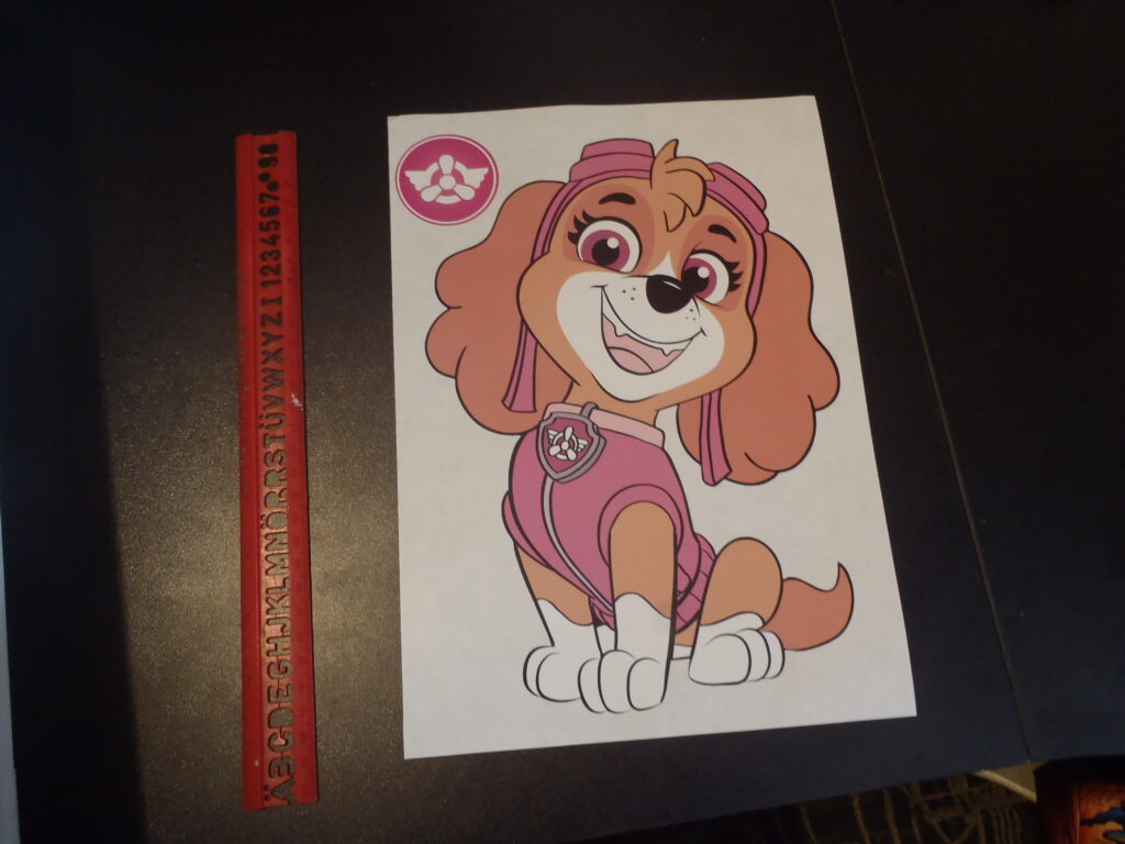 Paw Patrol Skye with ruler showing A4 size